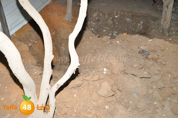 house lud fatash 1126 (11).JPG